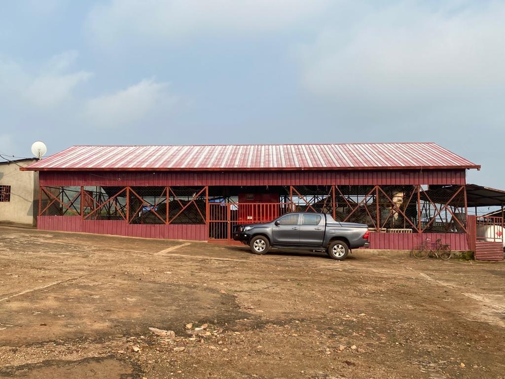 Cold & Dry Storage